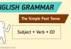The Simple Past Tense-01