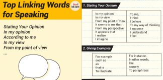 Top Linking Words for Speaking and Useful Words, Phrases to Write a Great Essay (Pdf)