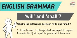 What’s the difference between ‘will’ and ‘shall’?