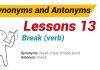 Synonyms and Antonyms Dictionary 13-01