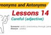 Synonyms and Antonyms Dictionary 14-01