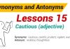 Synonyms and Antonyms Dictionary 15-01