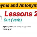 Synonyms and Antonyms Dictionary 27-01