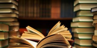 English Writing Practice: Topic 4 – Are Books more important than Experience?