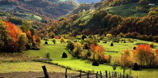 English Writing Practice: Topic 20 – Should children grow up in the countryside or in a city?