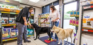 Everyday English Conversations Practice : Lesson 26 – At the Pet Store