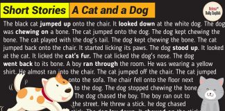 Short Stories in English: A Cat and a Dog 3. A Cat and a Dog.mp3