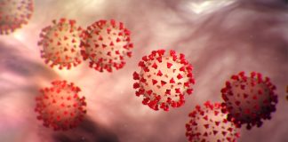 A Message from Helena Daily English Team