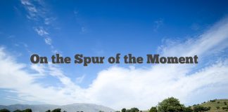 Advanced Phrasal verbs in context: Lesson 3 – “on the spur of the moment”