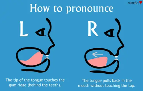 How to pronounce prostate