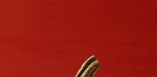 5 Fun Pumpkin Carving Ideas 2022