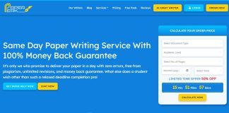 Essential English Grammar to Ace Your Next Test